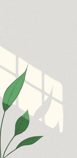 [2436x1125]插图 叶子 投影 简约 苹果手机动漫壁纸图片