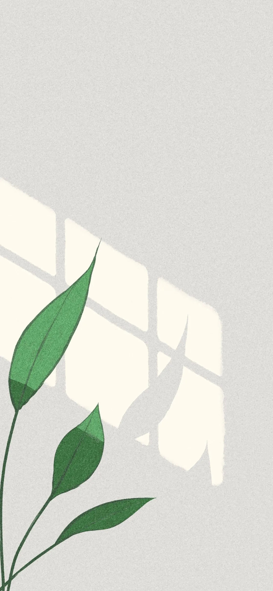 [2436×1125]插图 叶子 投影 简约 苹果手机动漫壁纸图片