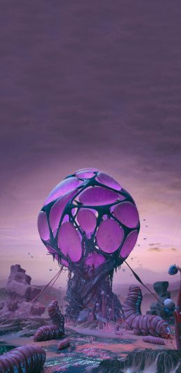 [2436x1125]插图 场景 虫子 怪物 苹果手机动漫壁纸图片