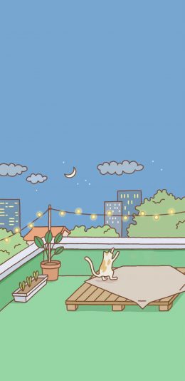 [2436x1125]插图 天台 猫咪 可爱 苹果手机动漫壁纸图片