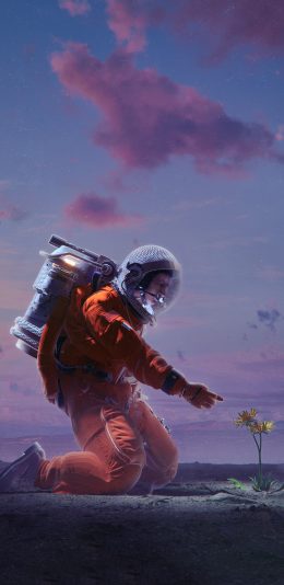 [2436x1125]插图 宇航员 鲜花 星空 梦幻 苹果手机动漫壁纸图片