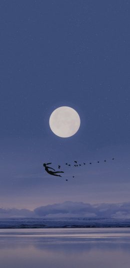 [2436x1125]插图 星空 夜景 月亮 飞鸟 苹果手机动漫壁纸图片