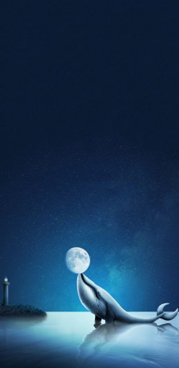 [2436x1125]插图 星空 夜景 鲸鱼 梦幻 苹果手机动漫壁纸图片