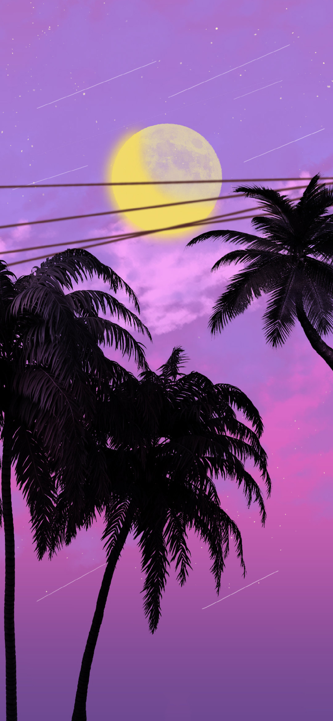 [2436×1125]插图 星空夜景 流星 椰树 苹果手机动漫壁纸图片