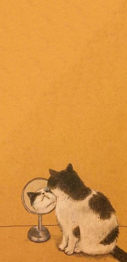 [2436x1125]插图 猫咪 照镜子 可爱 苹果手机动漫壁纸图片