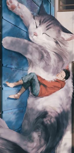 [2436x1125]插图 猫咪 睡觉 男孩 苹果手机动漫壁纸图片