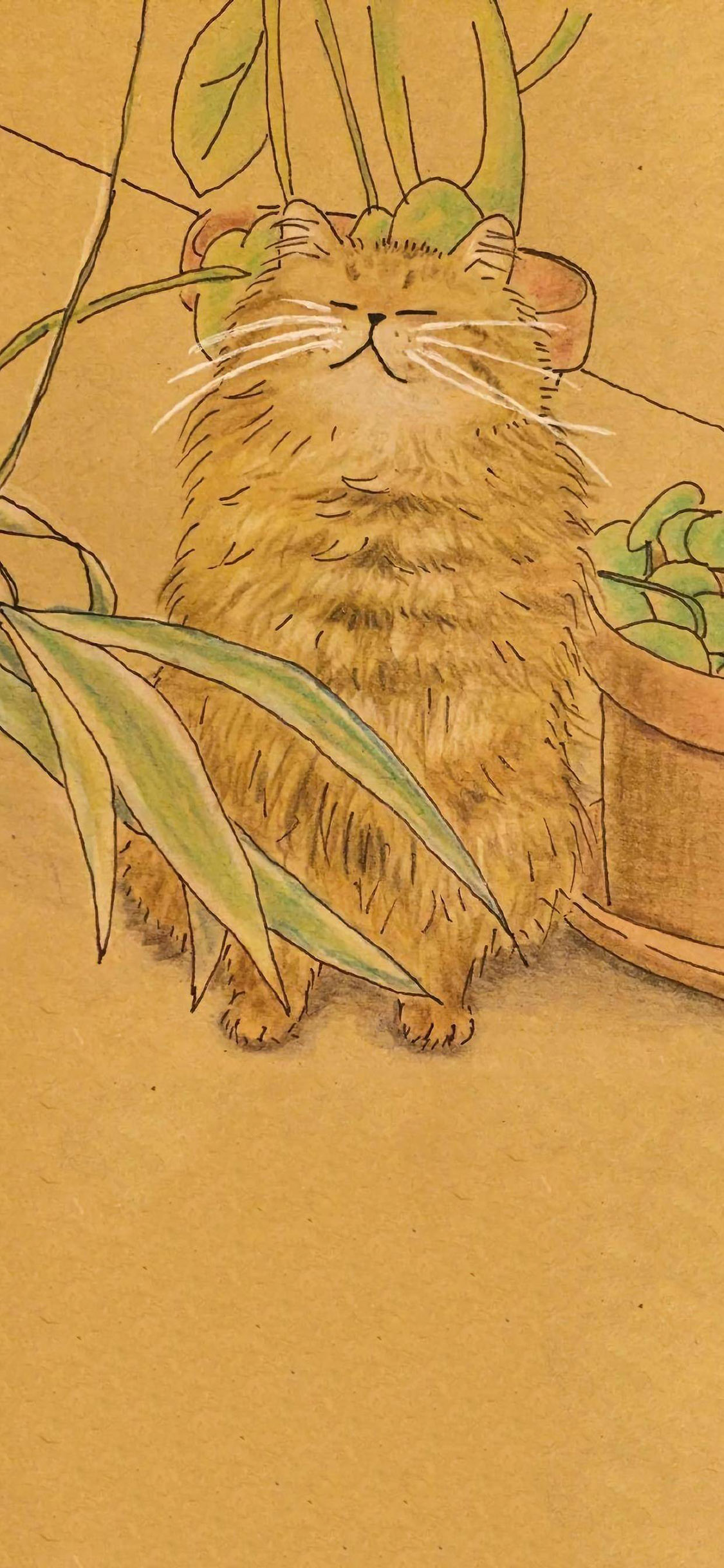 [2436×1125]插图 猫咪 绿植 可爱 苹果手机动漫壁纸图片