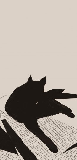 [2436x1125]插图 猫咪 黑猫 简约 苹果手机动漫壁纸图片