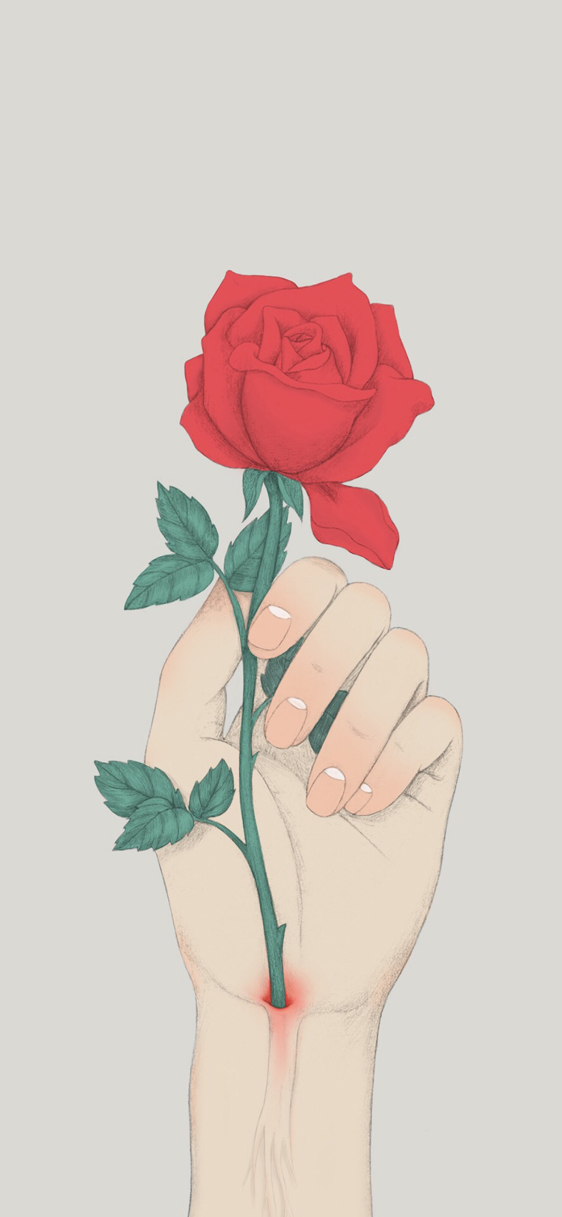 [2436×1125]插图 玫瑰 手 动脉 苹果手机动漫壁纸图片