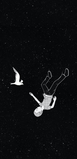 [2436x1125]插图 男孩 白鸽 星空 苹果手机动漫壁纸图片