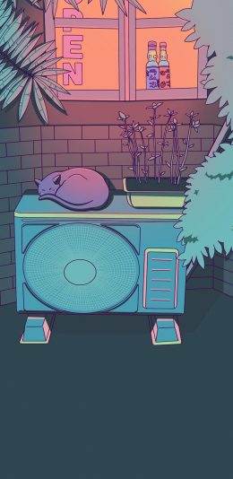 [2436x1125]插图 窗户 猫咪 睡觉 色彩 苹果手机动漫壁纸图片