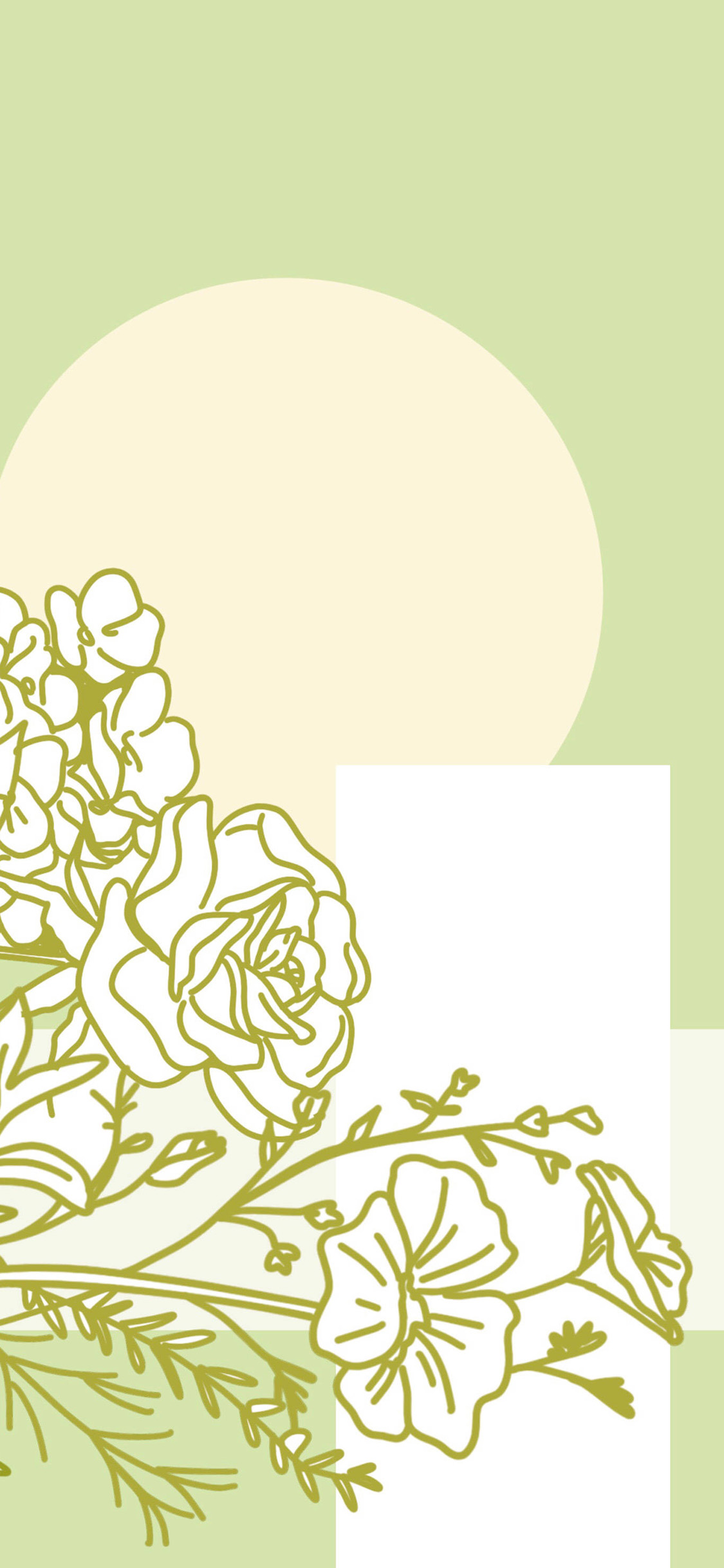 [2436×1125]插图 花朵 线条 简约 绿色 苹果手机动漫壁纸图片