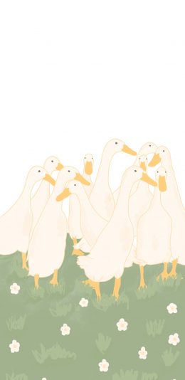 [2436x1125]插图 草地 鸭子 家禽 苹果手机动漫壁纸图片