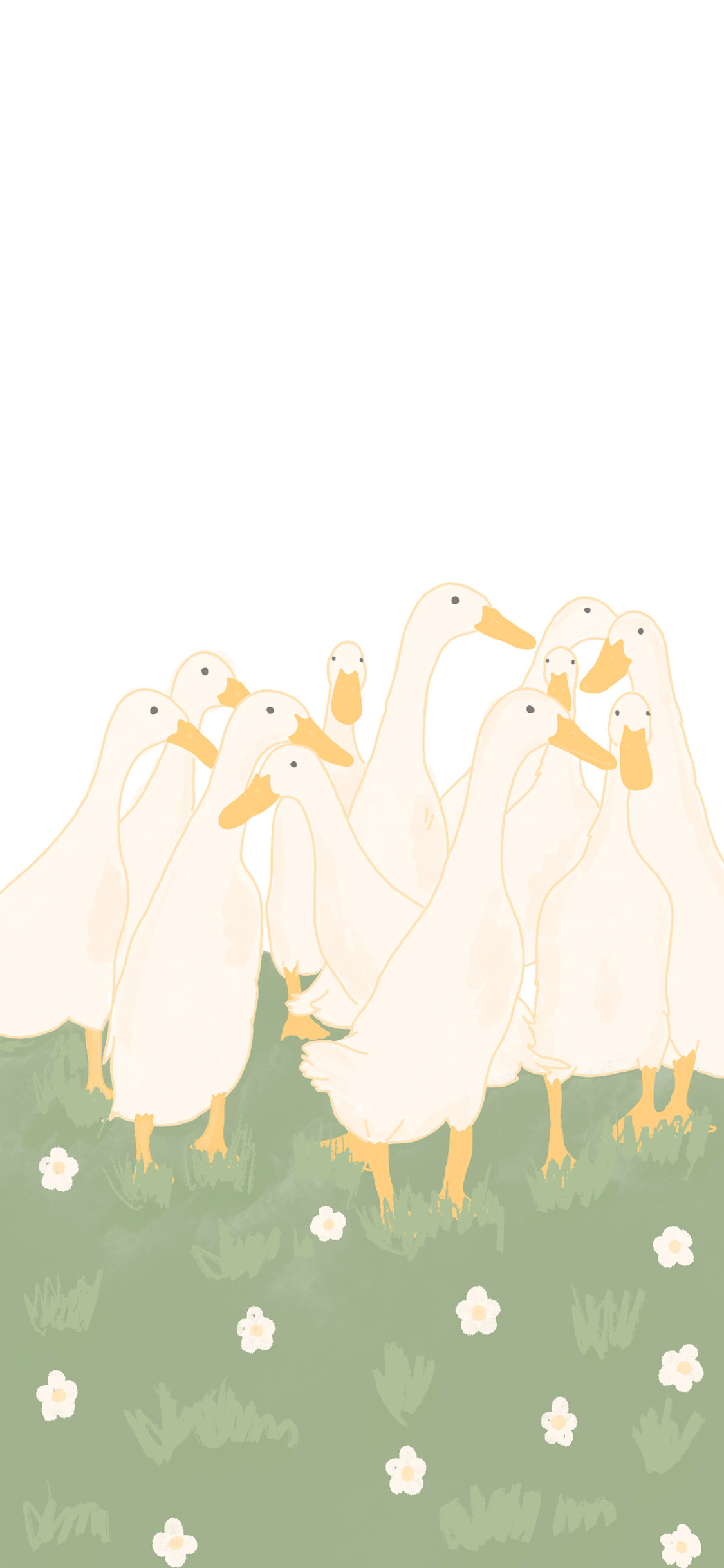 [2436×1125]插图 草地 鸭子 家禽 苹果手机动漫壁纸图片