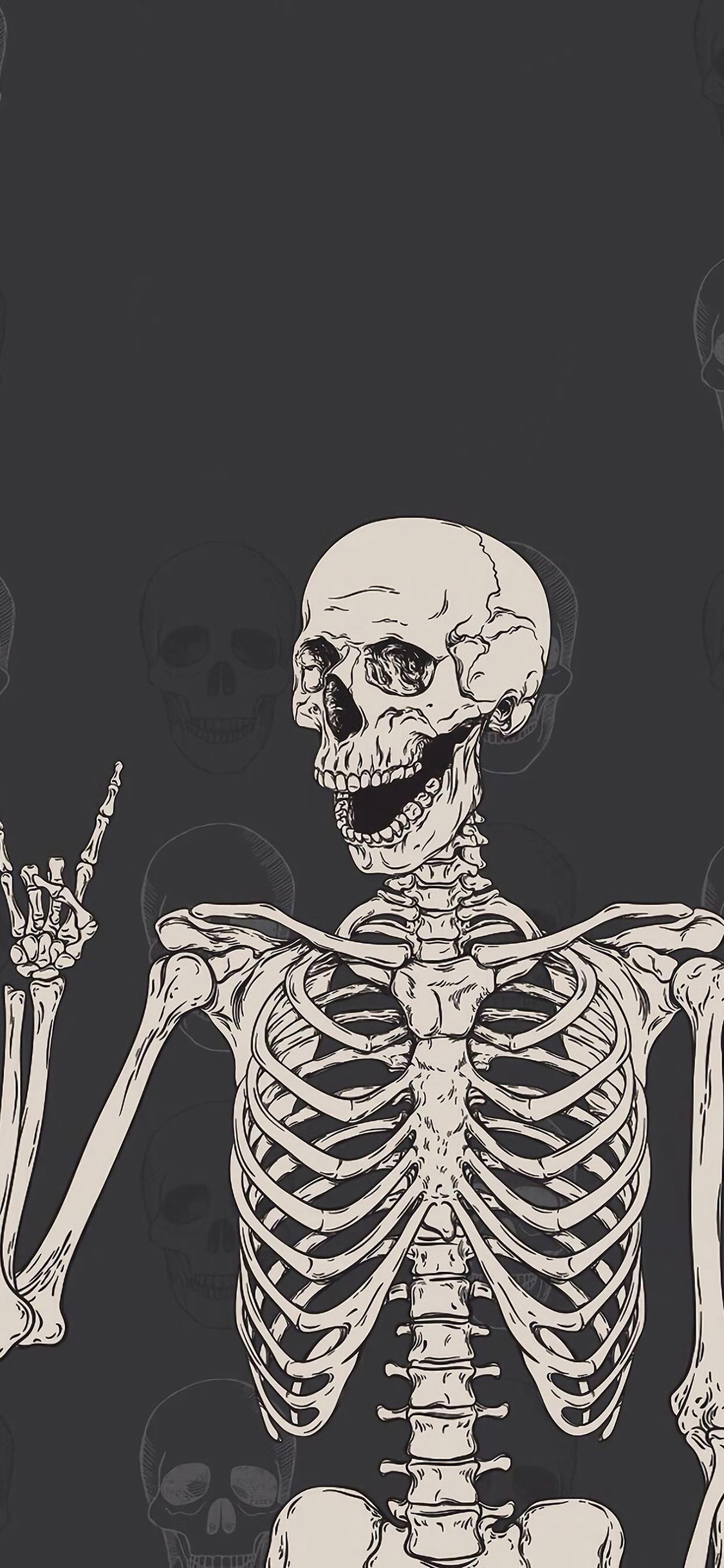 [2436×1125]插图 骷颅 骨架 恐怖 苹果手机动漫壁纸图片