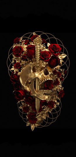 [2436x1125]插图 骷颅头 刀剑 红玫瑰 苹果手机动漫壁纸图片