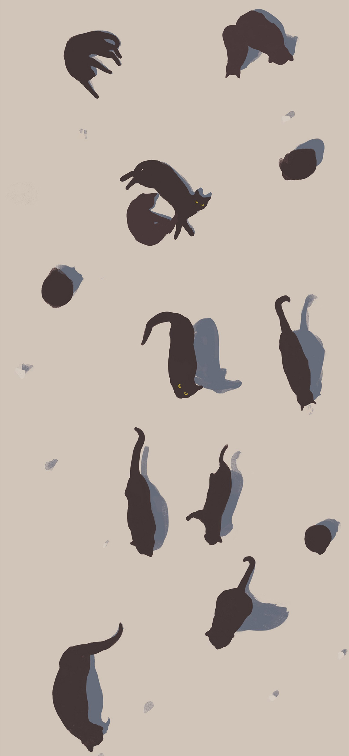 [2436×1125]插图 黑猫 平铺 猫咪 苹果手机动漫壁纸图片