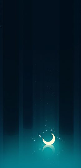 [2436x1125]插画 月亮 夜晚 创意 月光 苹果手机动漫壁纸图片