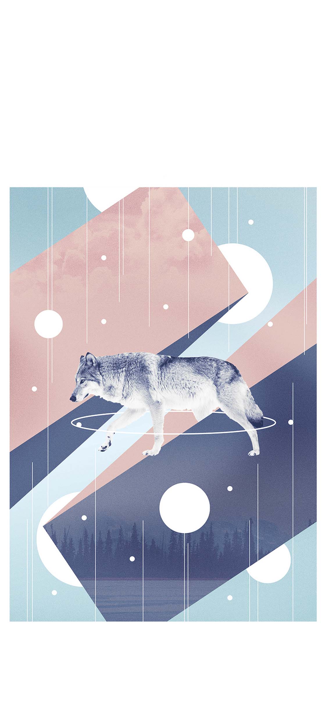 [2436×1125]插画 狼 封面 设计 线条 苹果手机动漫壁纸图片