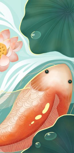 [2436x1125]插画 锦鲤 荷花 荷塘 苹果手机动漫壁纸图片