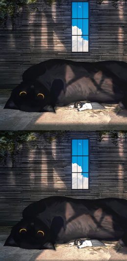 [2436x1125]日本插画师 もの久保作品 黑猫 女孩 苹果手机动漫壁纸图片