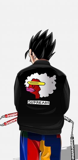 [2436x1125]日漫 七龙珠 悟空 潮图 背影 苹果手机动漫壁纸图片