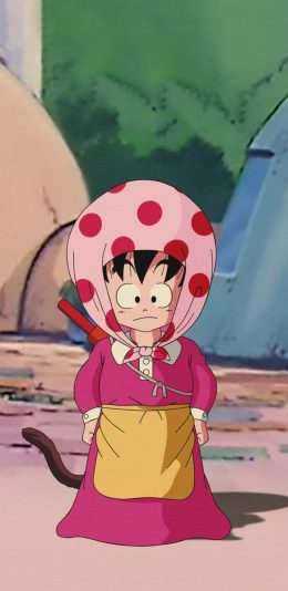 [2436x1125]日漫 二次元 七龙珠 悟空 苹果手机动漫壁纸图片