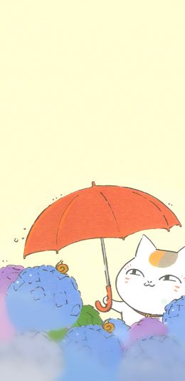 [2436x1125]日漫 夏目友人帐 猫老师 打伞 苹果手机动漫壁纸图片