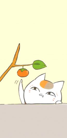 [2436x1125]日漫 夏目友人帐 猫老师 柿子 苹果手机动漫壁纸图片