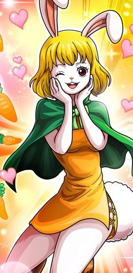 [2436x1125]日漫 海贼王 加洛特 苹果手机动漫壁纸图片