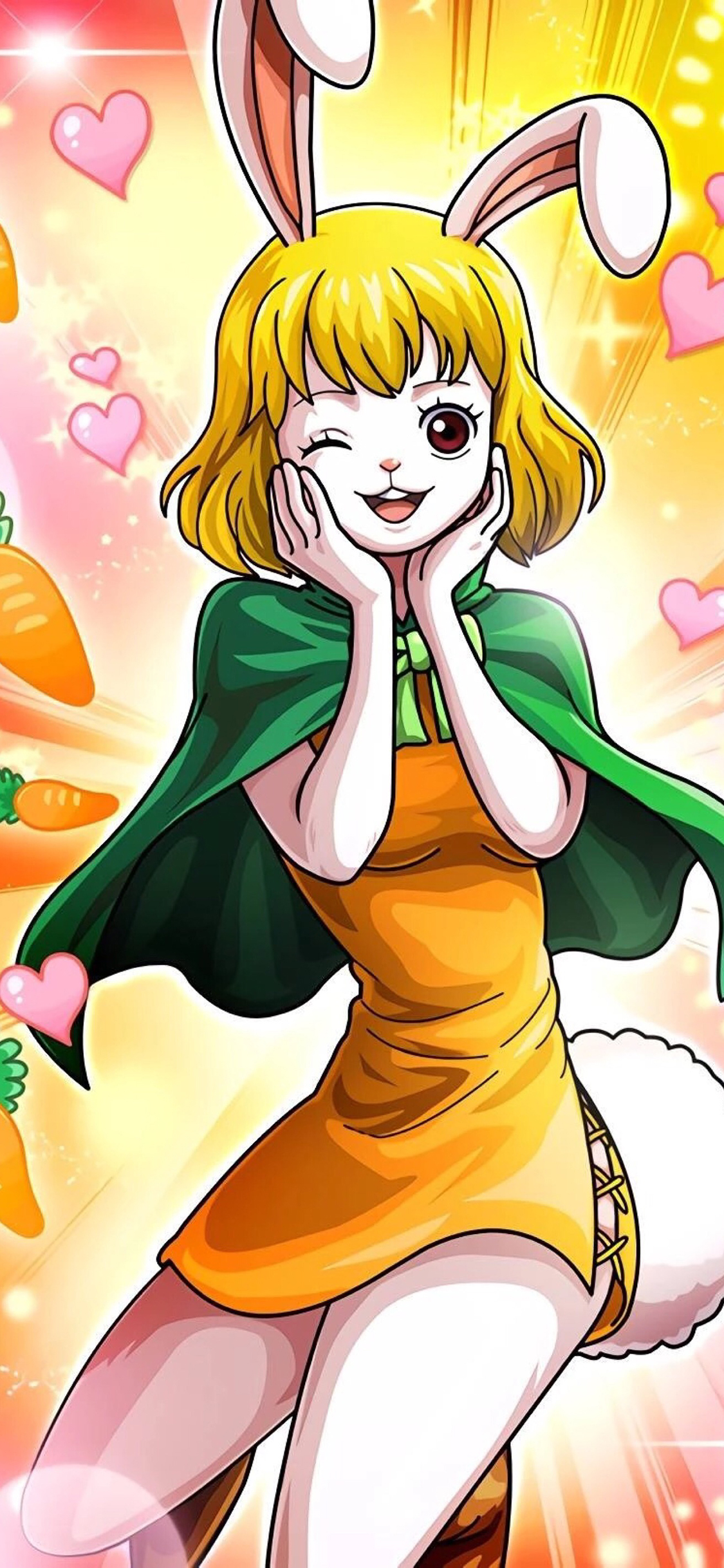 [2436×1125]日漫 海贼王 加洛特 苹果手机动漫壁纸图片