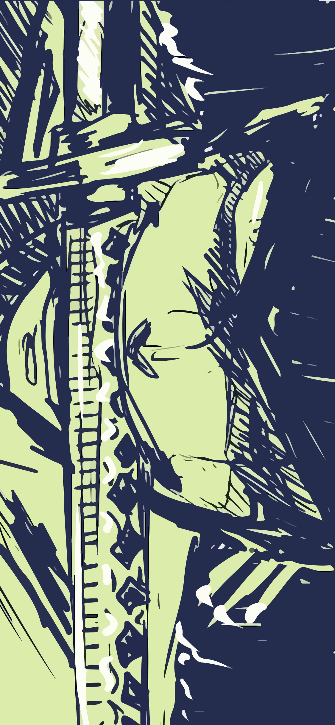 [2436×1125]日漫 海贼王 绿藻头 索隆 苹果手机动漫壁纸图片