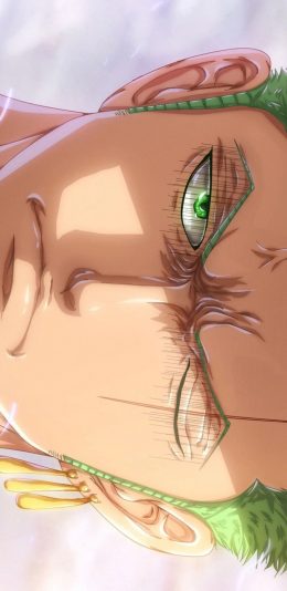 [2436x1125]日漫 海贼王 航海王 索隆 苹果手机动漫壁纸图片