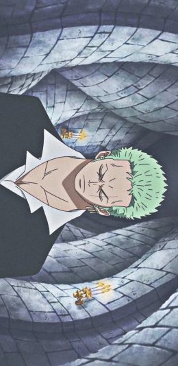 [2436x1125]日漫 海贼王 英雄 索隆 苹果手机动漫壁纸图片