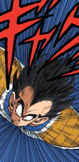 [2436x1125]日漫 龙珠 贝吉塔行星 赛亚人 苹果手机动漫壁纸图片