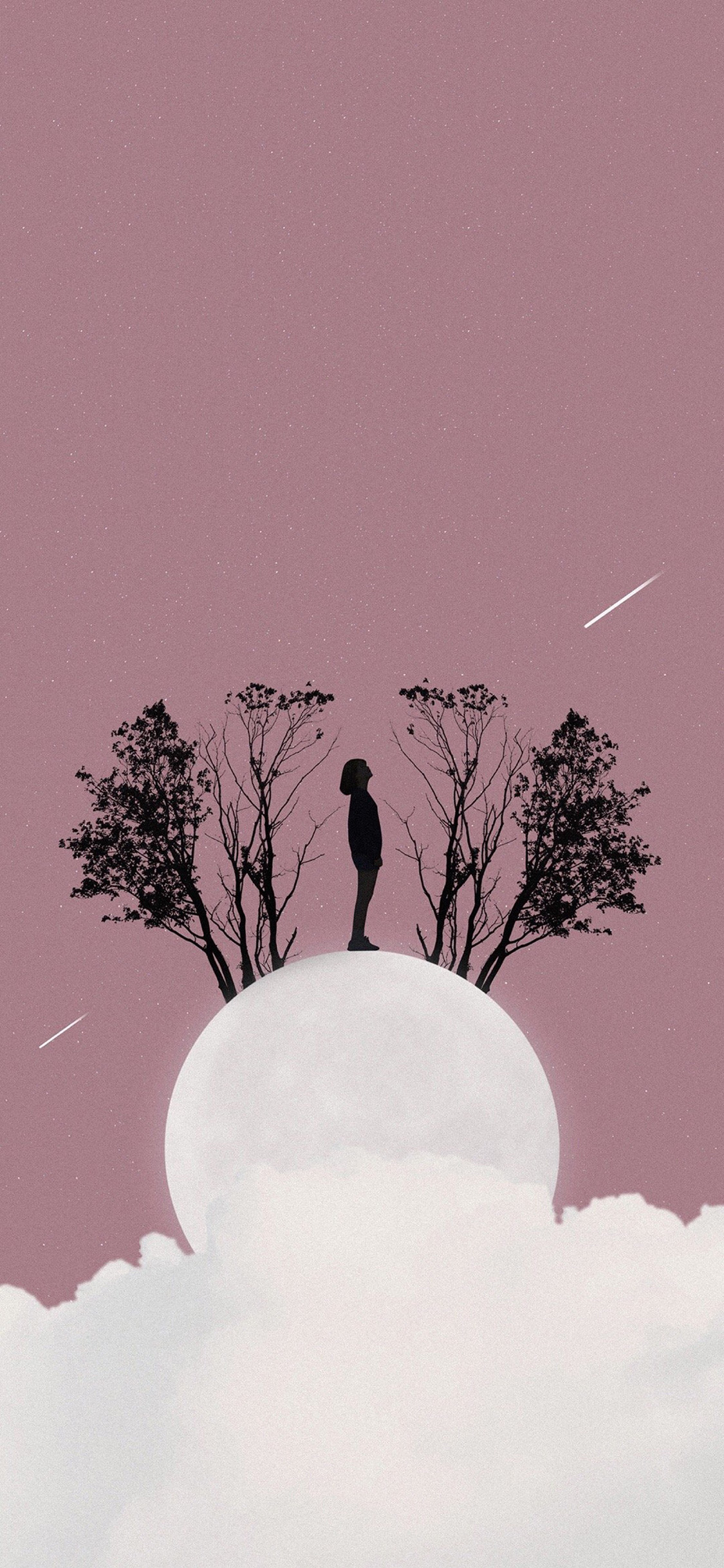 [2436×1125]星空 任务 月球 流星 苹果手机动漫壁纸图片