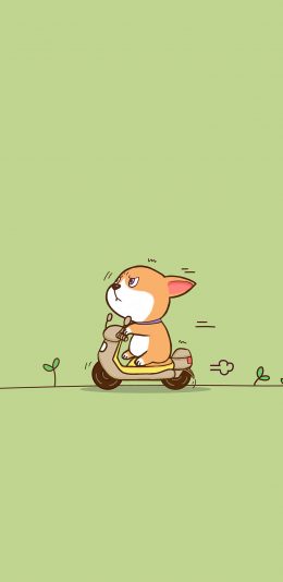 [2436x1125]柴犬 可爱 卡通 骑车 苹果手机动漫壁纸图片