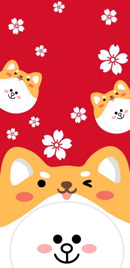 [2436x1125]柴犬 新年 红色 可爱 苹果手机动漫壁纸图片