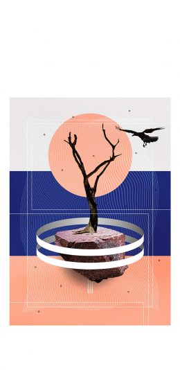 [2436x1125]树木 乌鸦 设计 封面 苹果手机动漫壁纸图片