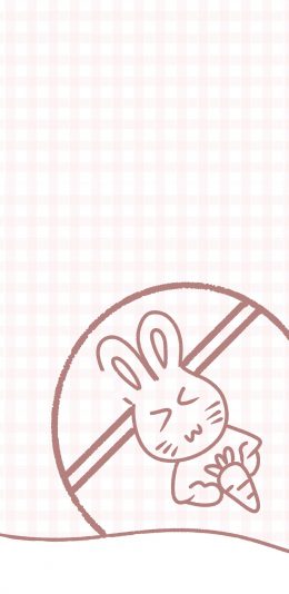 [2436x1125]格子背景 卡通 兔子 胡萝卜 苹果手机动漫壁纸图片