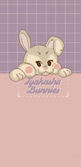 [2436x1125]格子背景 小兔子 卡通 可爱 苹果手机动漫壁纸图片
