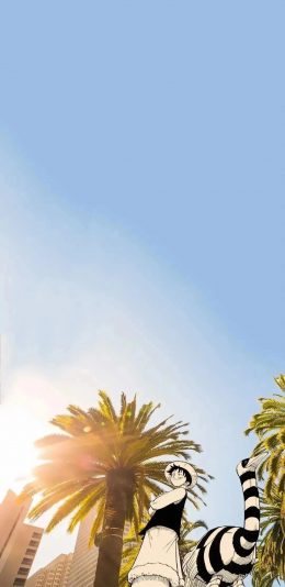 [2436x1125]椰树 海贼王 路飞 铁汁 苹果手机动漫壁纸图片