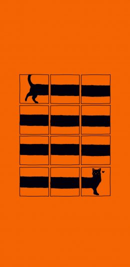 [2436x1125]橙色背景 插图 猫咪 创意 苹果手机动漫壁纸图片