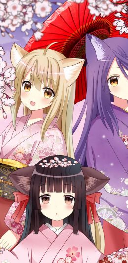 [2436x1125]此花绮谭 日本 漫画 柚 皋 樱 和服 二次元 苹果手机动漫壁纸图片