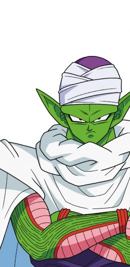 [2436x1125]比克 龙珠 战士 漫画 日本 苹果手机动漫壁纸图片