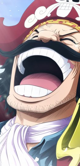 [2436x1125]海贼王 罗杰 日本 动画 苹果手机动漫壁纸图片