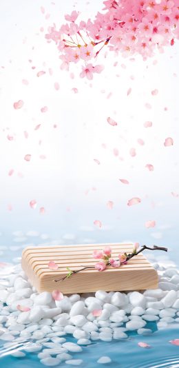 [2436x1125]渲染 3D 梅花 场景 苹果手机动漫壁纸图片