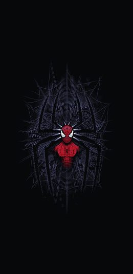 [2436x1125]漫威 蜘蛛侠超级英雄 黑 苹果手机动漫壁纸图片