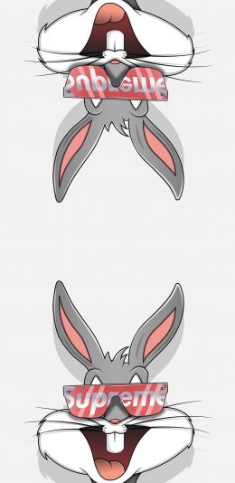 [2436x1125]潮图 兔八哥 眼镜 supreme 苹果手机动漫壁纸图片