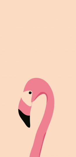 [2436x1125]火烈鸟 羽毛 翅膀 弯曲 苹果手机动漫壁纸图片